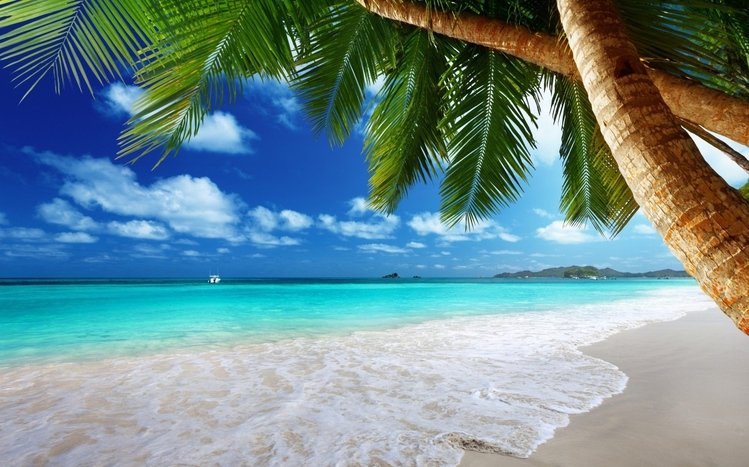 Tropical Theme screenshot #6