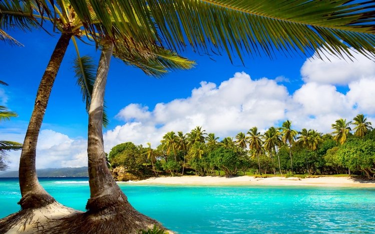 Tropical Theme screenshot #17