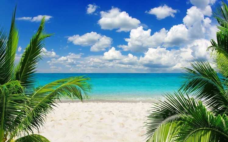 Tropical Theme screenshot #8