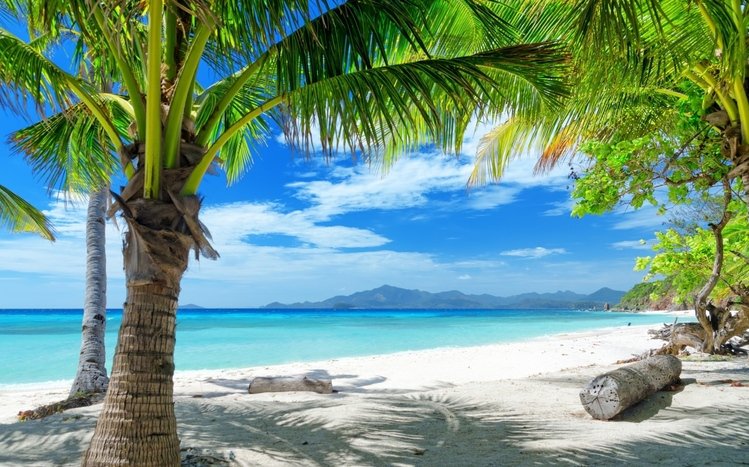 Tropical Theme screenshot #11