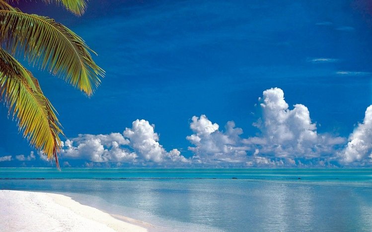 Tropical Theme screenshot #3