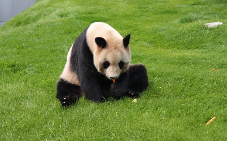 Panda Theme screenshot #2