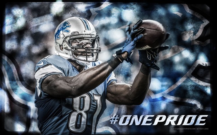 Detroit lions Theme screenshot #16