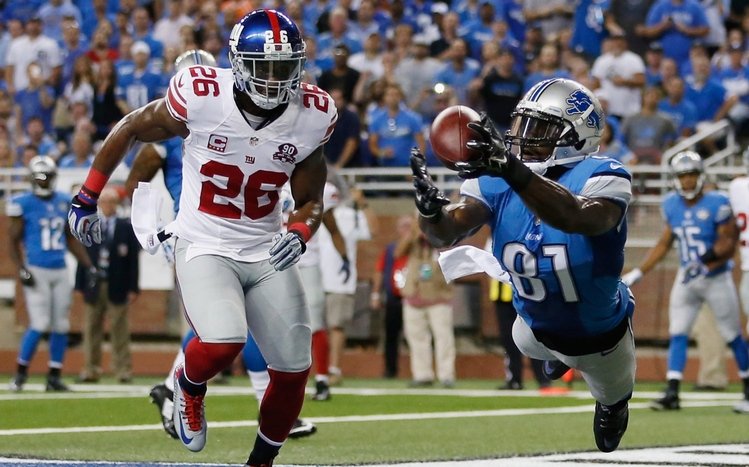 Detroit lions Theme screenshot #4