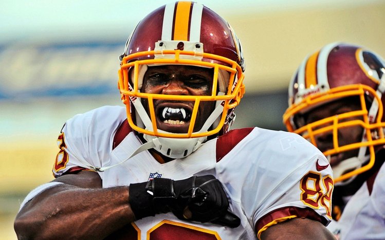 Redskins Theme screenshot #5