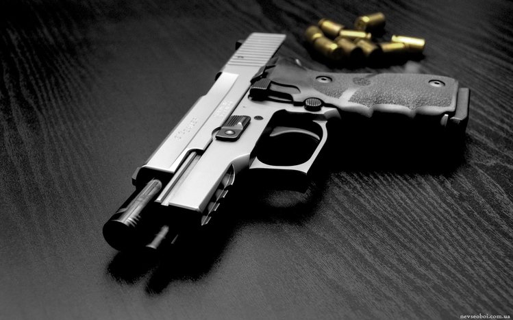 Gun Theme screenshot #13