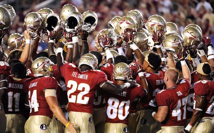 FSU Theme screenshot #10