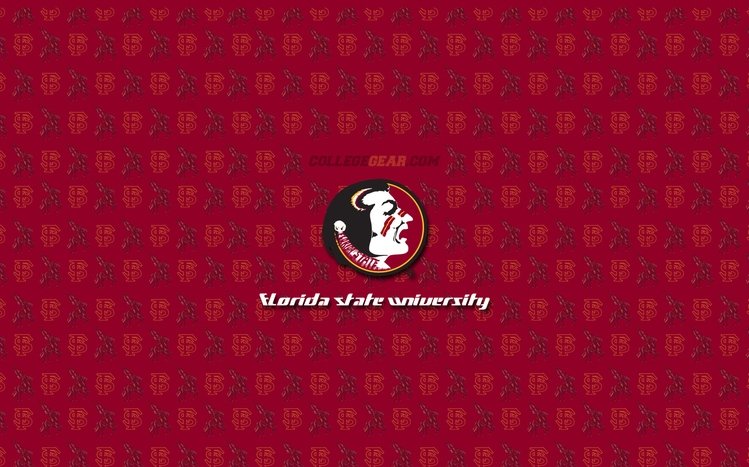 FSU Theme screenshot #2