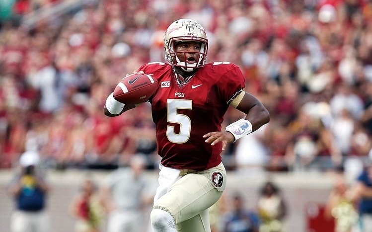 FSU Theme screenshot #12