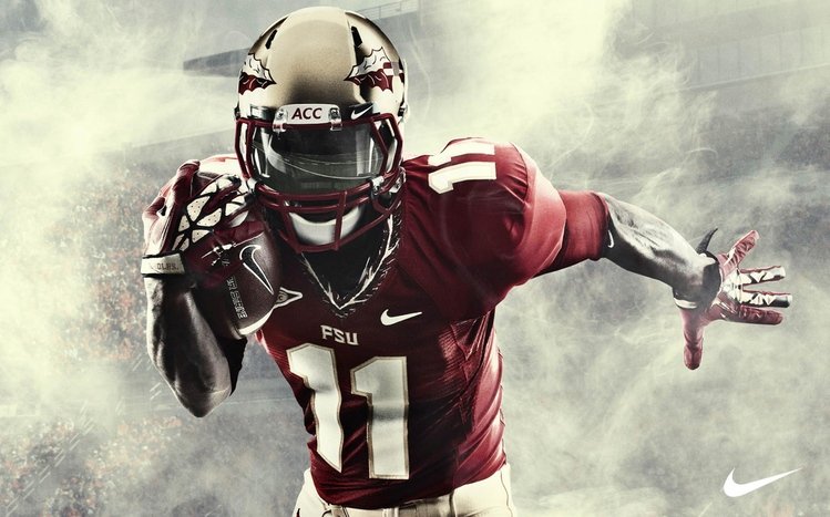 FSU Theme screenshot #3