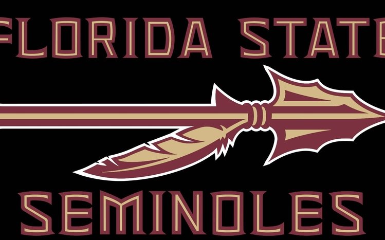 FSU Theme screenshot #1