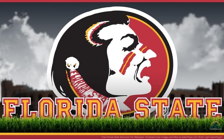 FSU Theme screenshot #7