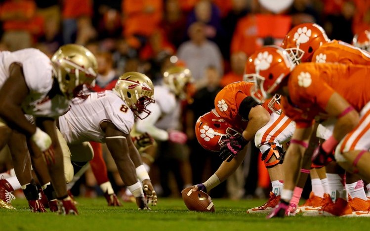 FSU Theme screenshot #11