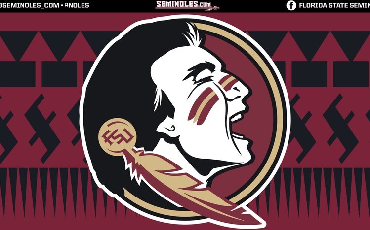 FSU Theme screenshot #6