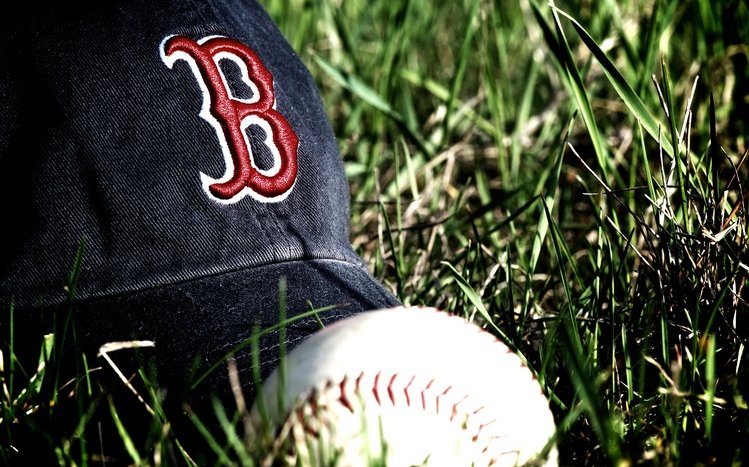 Red Sox Theme screenshot #13