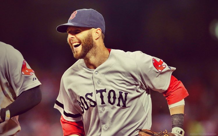 Red Sox Theme screenshot #11