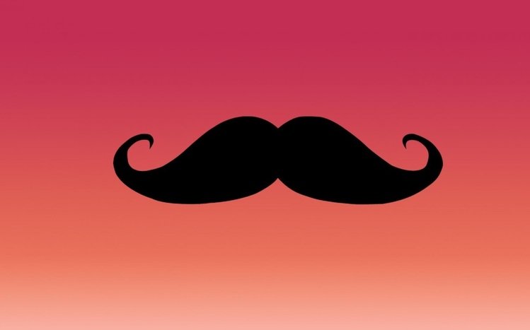 Mustache Theme screenshot #6