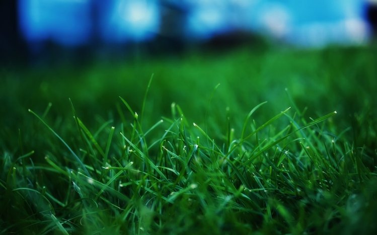 Grass Theme screenshot #13