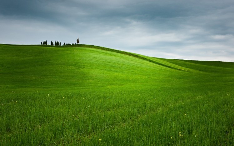 Grass Theme screenshot #7