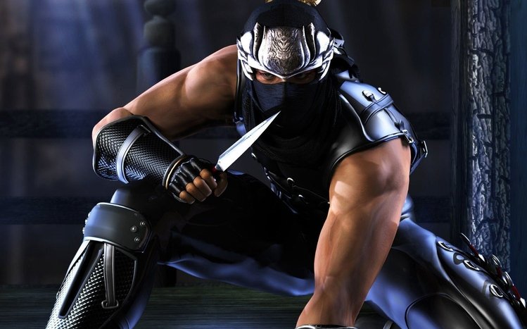 Ninja Gaiden Theme screenshot #11