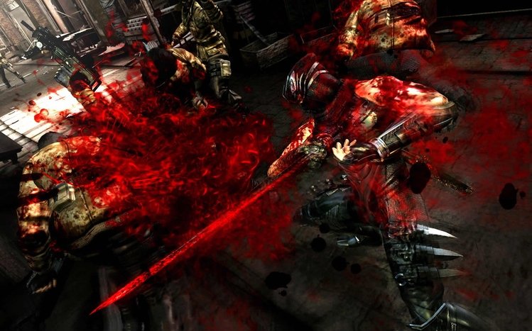 Ninja Gaiden Theme screenshot #12