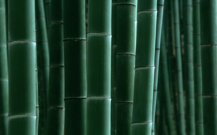 Bamboo Theme screenshot #5