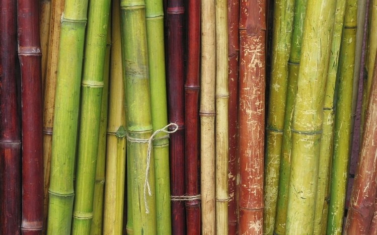Bamboo Theme screenshot #12