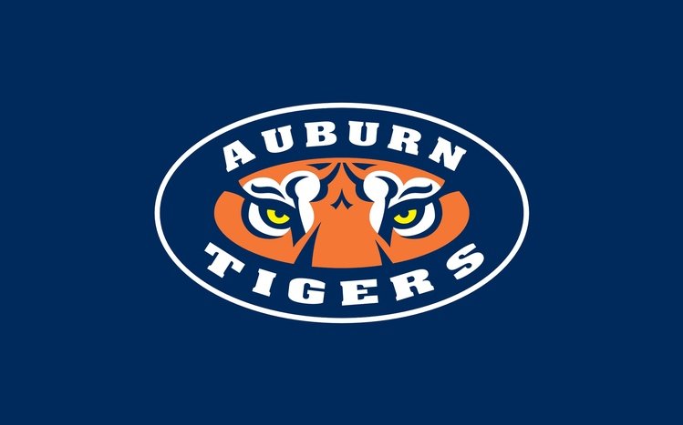Auburn Theme screenshot #1
