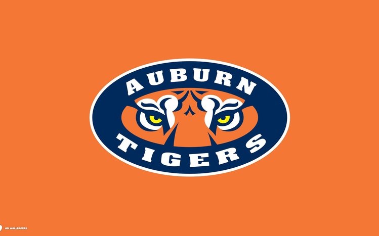 Auburn Theme screenshot #3