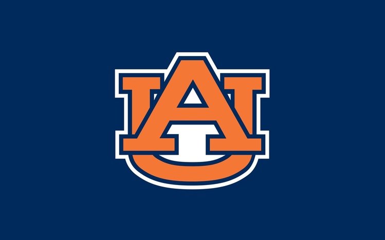 Auburn Theme screenshot #8