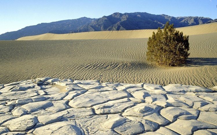 California Theme screenshot #19