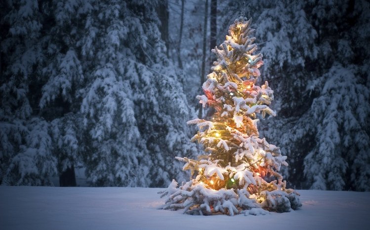 Christmas Tree Theme screenshot #2