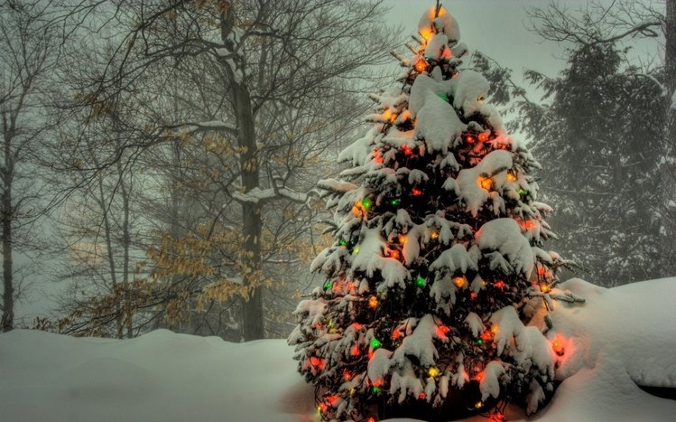 Christmas Tree Theme screenshot #15