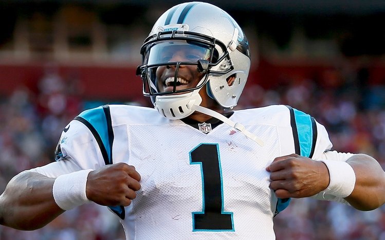 Cam Newton Theme screenshot #11