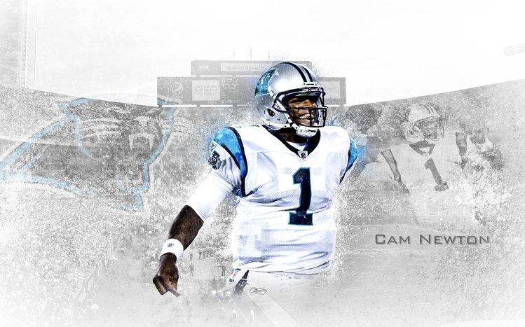 Cam Newton Theme screenshot #13