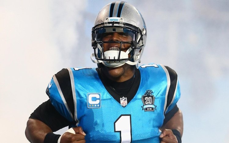 Cam Newton Theme screenshot #3