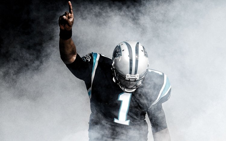 Cam Newton Theme screenshot #8