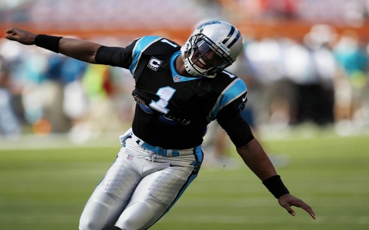 Cam Newton Theme screenshot #2