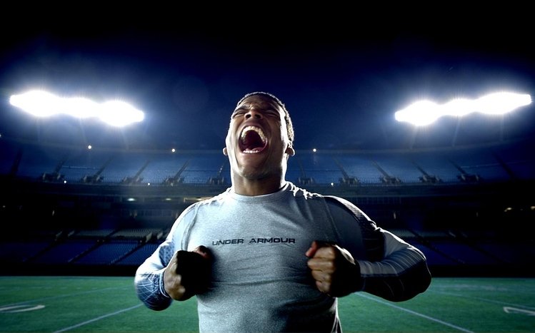 Cam Newton Theme screenshot #7