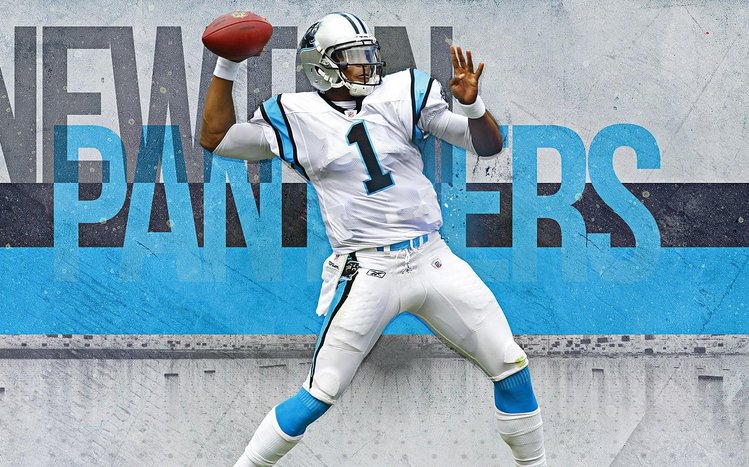 Cam Newton Theme screenshot #5