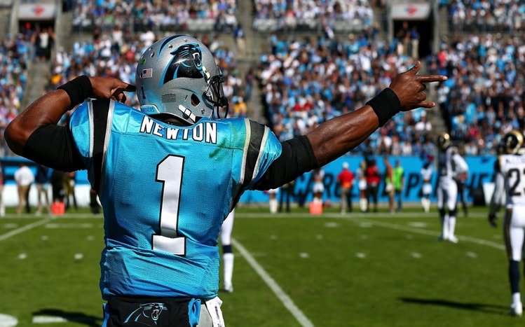 Cam Newton Theme screenshot #4