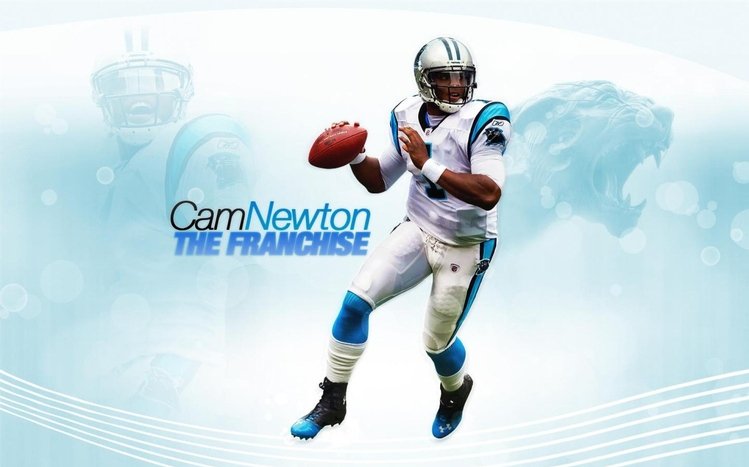 Cam Newton Theme screenshot #1