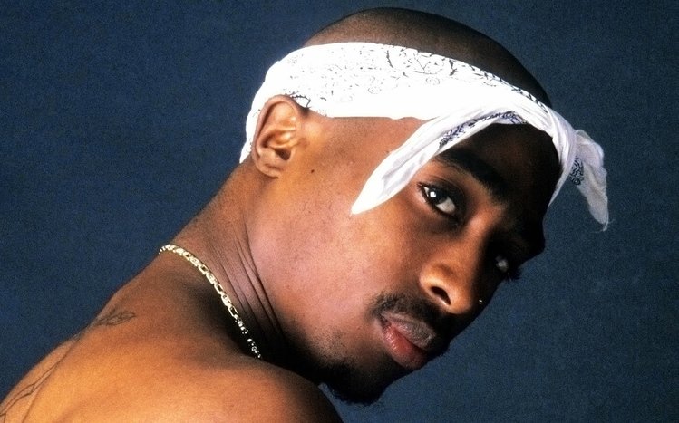 Tupac Shakur Theme screenshot #2