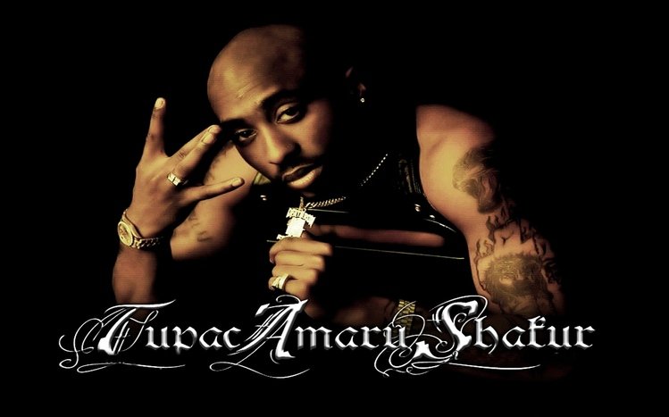 Tupac Shakur Theme screenshot #4