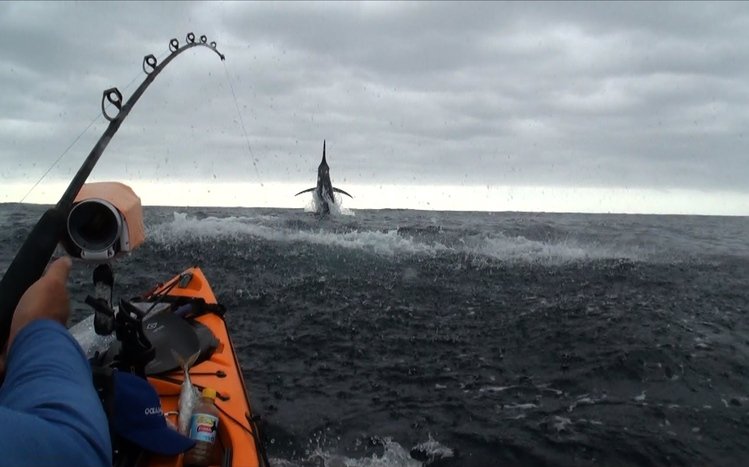 Fishing Theme screenshot #19