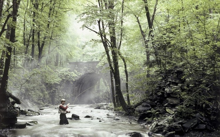 Fishing Theme screenshot #13