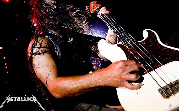 Metallica Theme screenshot #11