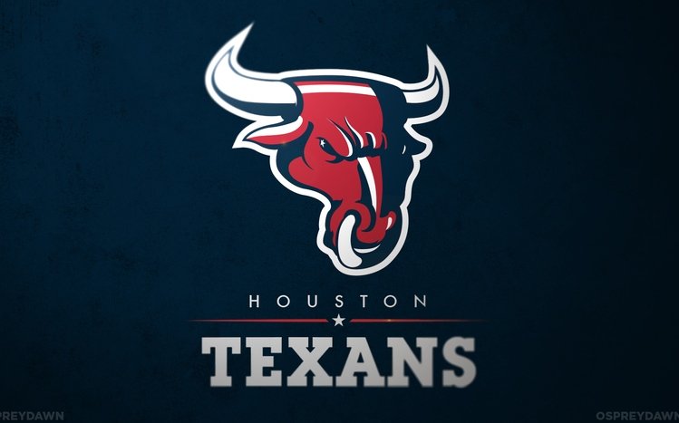 Texans Theme screenshot #3