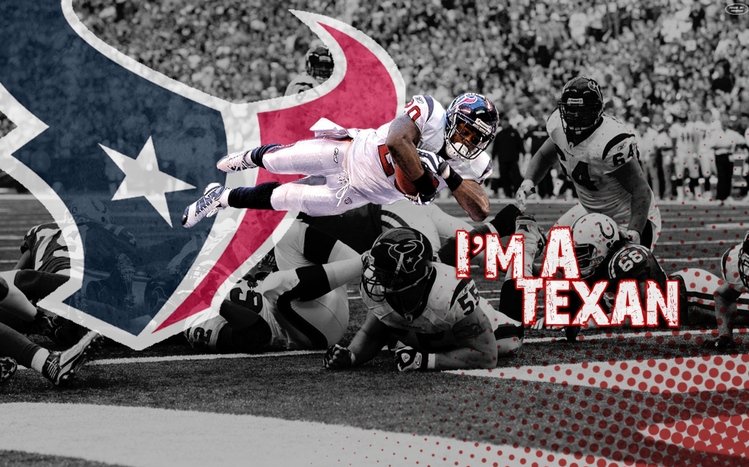 Texans Theme screenshot #1
