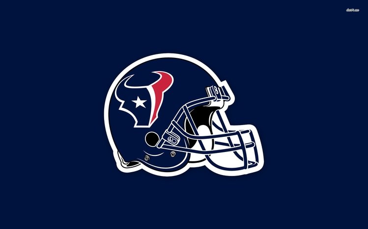 Texans Theme screenshot #8